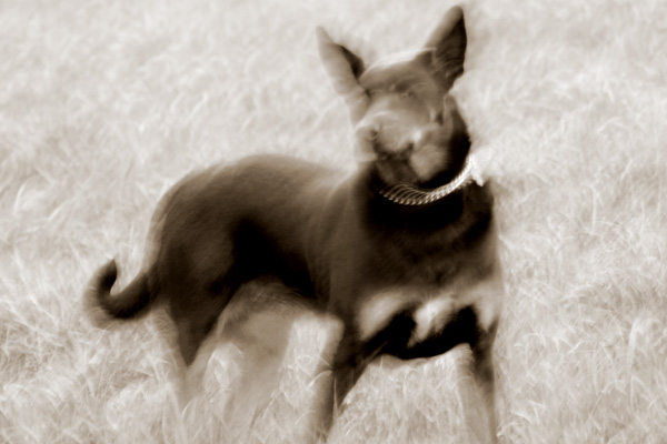102_0272_bw_01